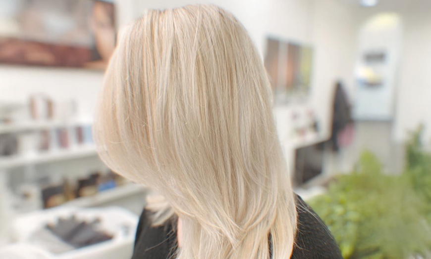 Image 5: Haircuts, Blow-Dry & Styling w/w/o Deep Conditioning and Highlights