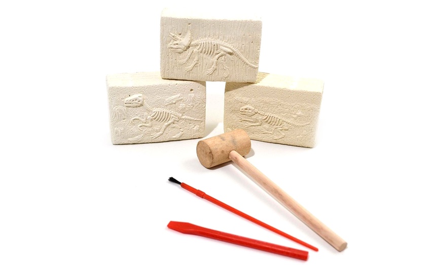 Image 2: Dinosaur Fossils Digging Kit 