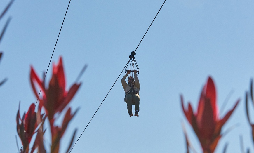 Image 4: (Up to 16% Off) Double the Thrill: Hike & Zipline Packages for 2 or 4