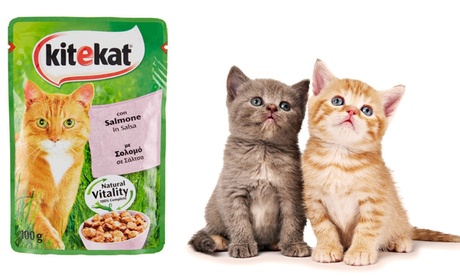 48 bustine di cibo per gatti KiteKat Mars