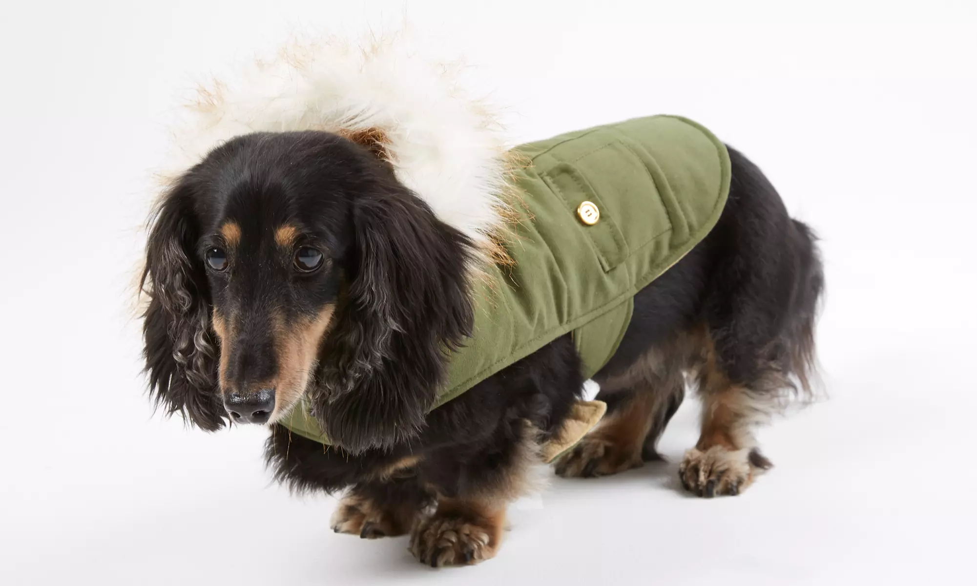 Wag & Bone Fur-Hooded Dog Jacket - Primary Image