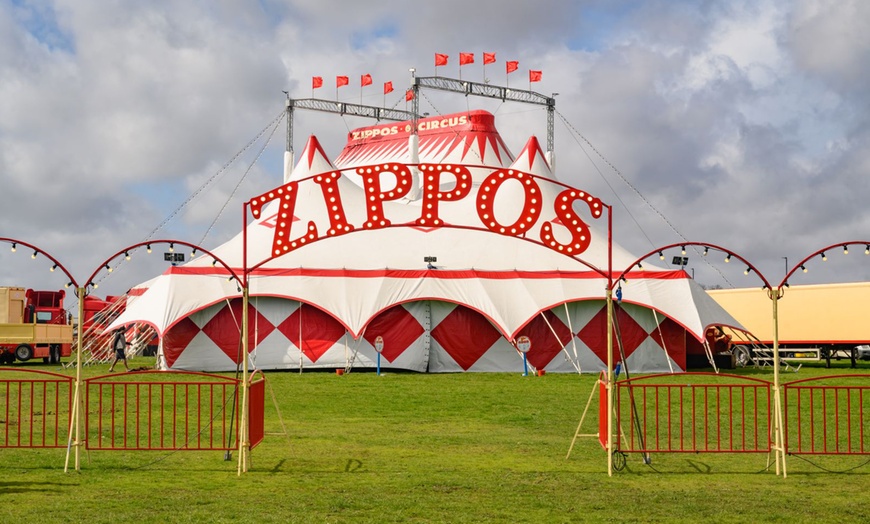 Image 9: Zippos Circus