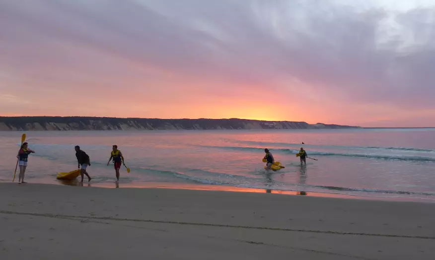 Dolphin-View Kayak Tour or Private Day Tour to Double Island Point