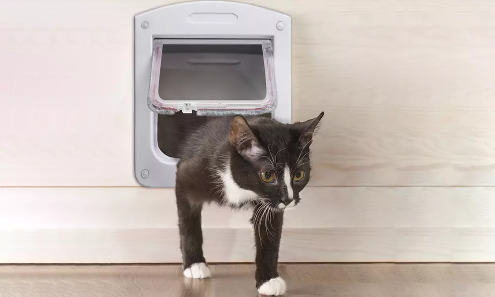 4-Way Lockable Flap Pet Door - Primary Image