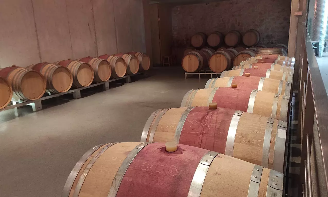 Paseo por viñedo, visita a bodegas y cata de 3 vinos para 1 o 2