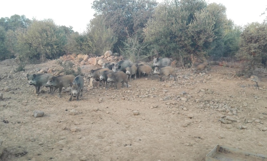 Image 24: Hasta 56% de dto. en CENTRO ANDALUZ DE LA FAUNA SALVAJE