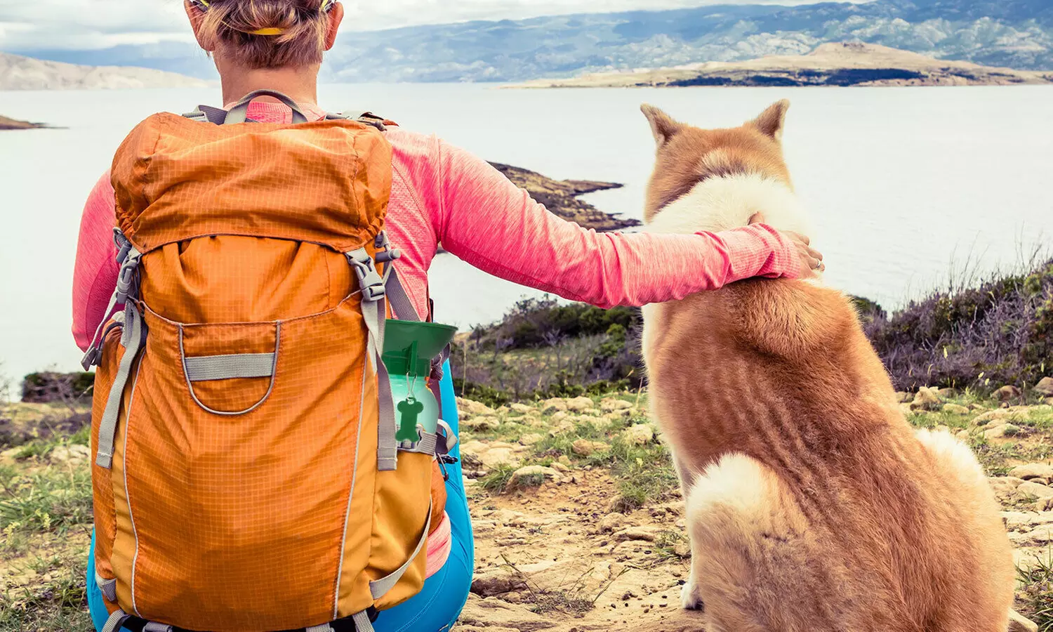 1 ou 2 gourdes de transport pour chien Cruft - Image 6