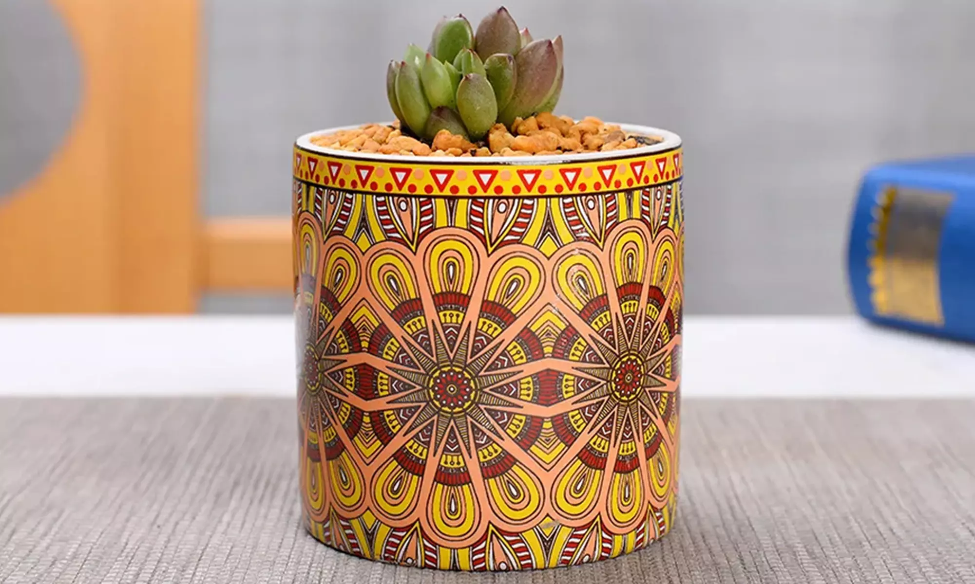 Lot de 3 pots de fleurs en céramique pour succulentes