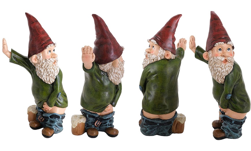 Image 11: Funny Gnome