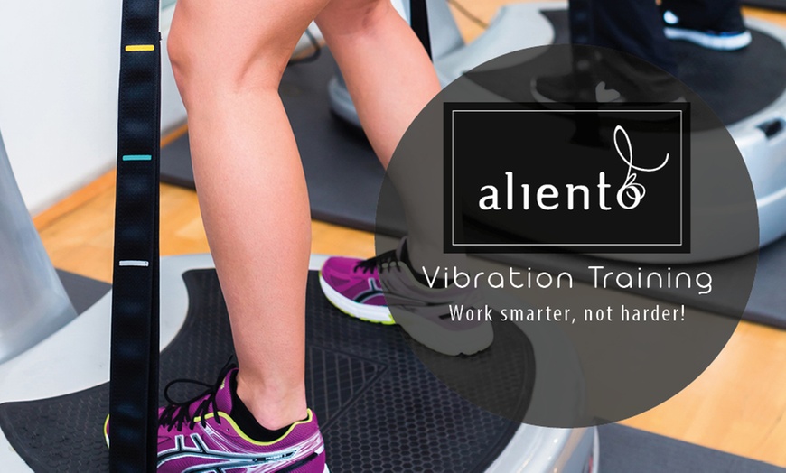 Image 4: Tone and Strengthen: Transform w/ Shapemaster Pilates Training Today!