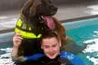 Doggy Fun Swim With Hydrotherapist at K9 Swim ( Up to 36%Off) - Second Medium
