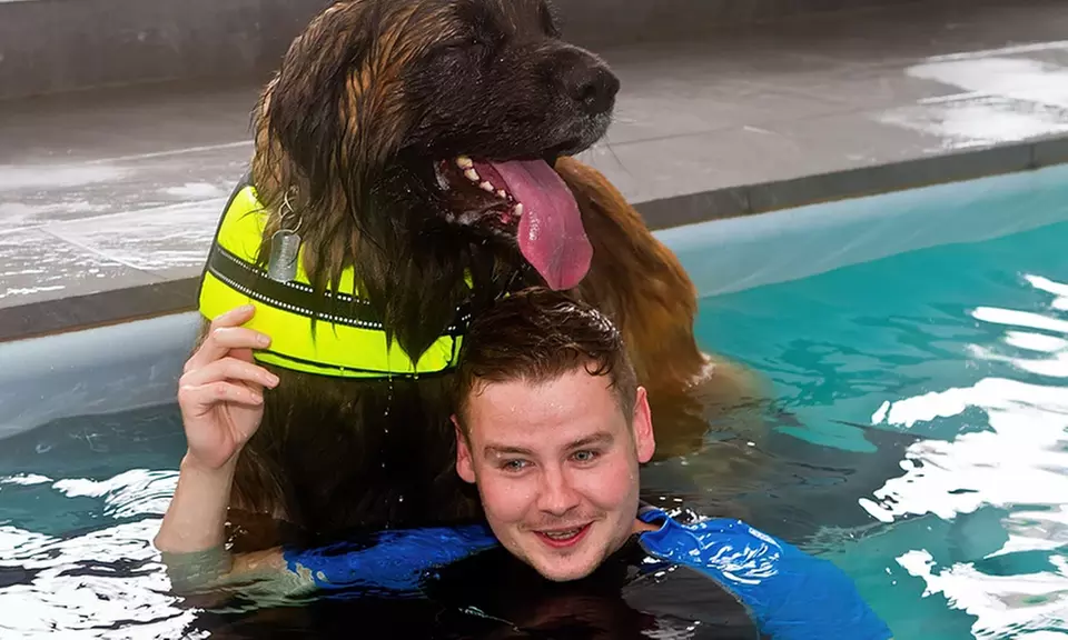 Doggy Fun Swim at K9 Swim