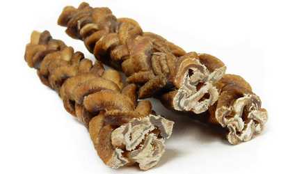 Monster Braided Bully Stick for Dogs 