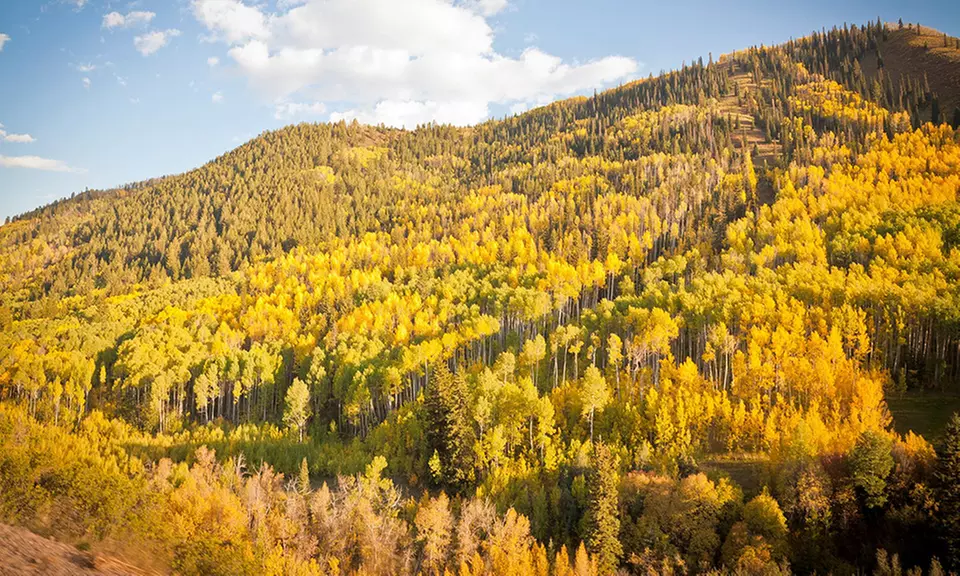 Stay at Sunlight Lodge Bed & Breakfast in Glenwood Springs, CO, with Dates into August - Primary Image