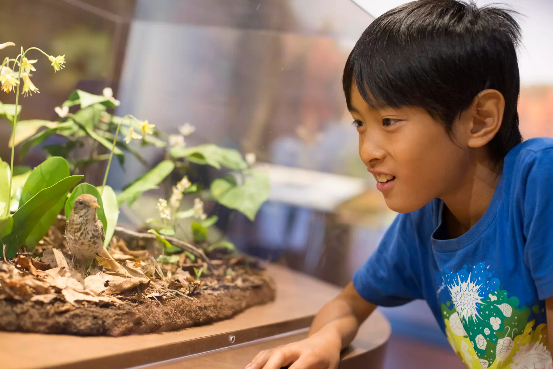 CityPASS- Save up to 46% on Admission to Top Boston Attractions