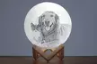 Personalize Your Room with Custom Moon Lamps with One or Two Pieces at Justlying (Up to 91%Off) - Image 6