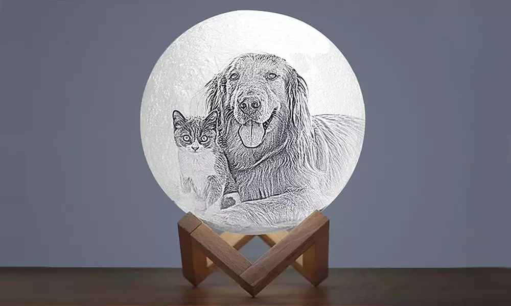 Illuminate Your Space with Custom Moon Lamps with One or Two Pieces