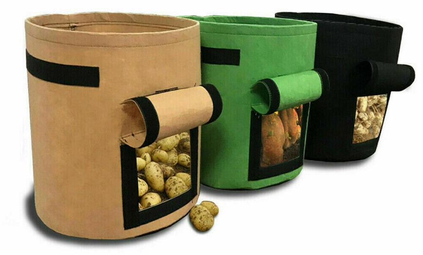 Image 4: One, Two or Three Plant Growing Bags