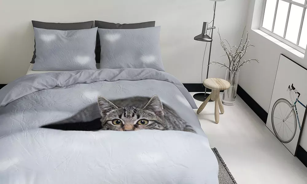 Parures de lit de la marque Nightlife, avec motifs d'animaux - Primary Image