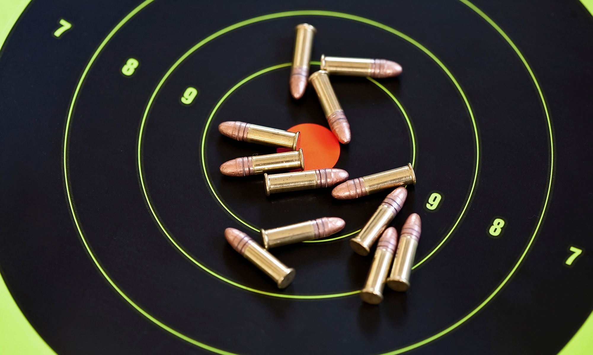 Experience Conceal and Carry Course with Range Time
