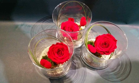 Une rose Éternelle, couleur au choix dans son écrin de verre à 13,50 € chez Roni Fleurs