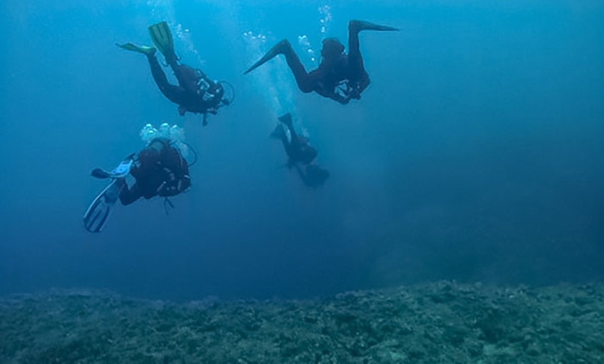 Image 1: Nurkowe Intro dla 1 lub 2 osób lub kurs Open Water Diver 