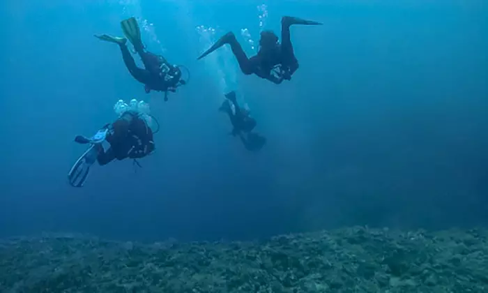 Nurkowe Intro dla 1 lub 2 osób lub kurs Open Water Diver