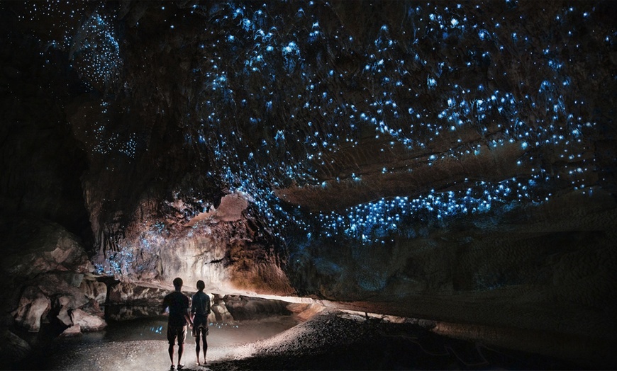 Image 1: 4-Hour Glow Worm Cave Tour