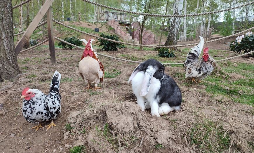 Image 8: Przeżyj magiczną przygodę w Ptasim Parku ZOObaczysko! Bilety wstępu