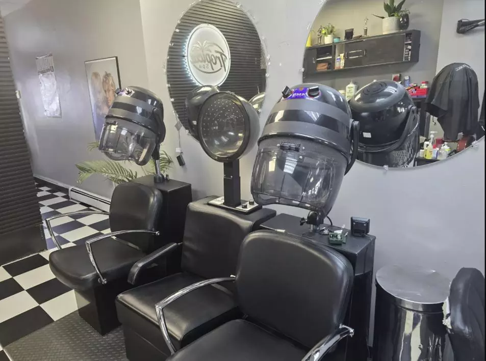 Haircut, Shampoo, Blowout, Full Color, Partial/Full Highlight, & More