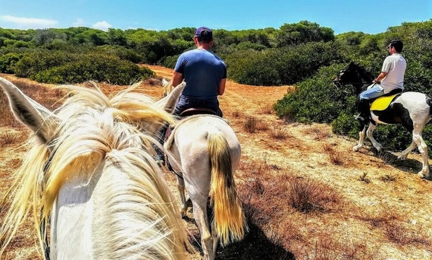 Image 4: Ruta a caballo para 1, 2 o 4 personas en Rancho Los Girasoles