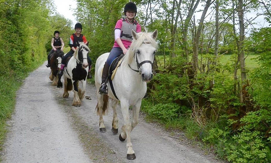 Image 3: 90-Minute Horse Riding Session