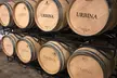 Visita guiada a la bodega y cata de 8 vinos para 2, 4 o 6 personas en Bodegas Urbina - Second Medium