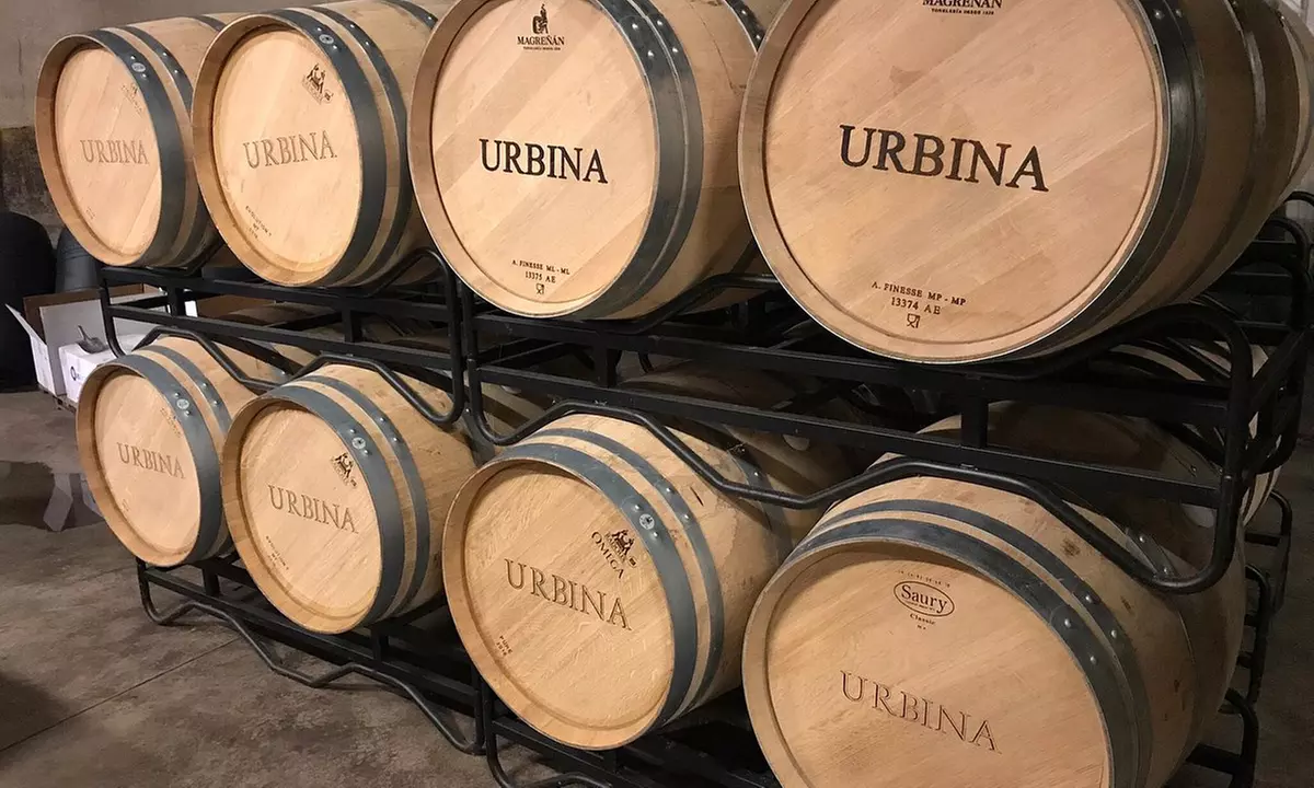 Visita guiada a la bodega y cata de vinos en Bodegas Urbina