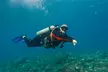 Paradise Blue Diving & Snorkeling Club offers an Adventurous Diving Course (Up to 60% Off) - Image 5