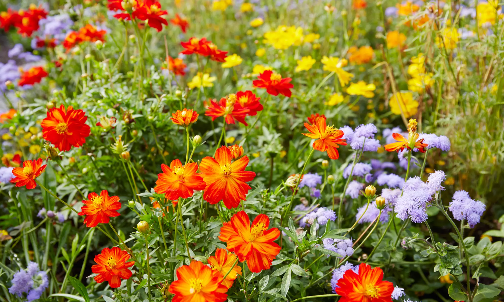 Unlock Your Home's Potential: Discover Inspiration & Connect with Experts at the Binghamton Home Show