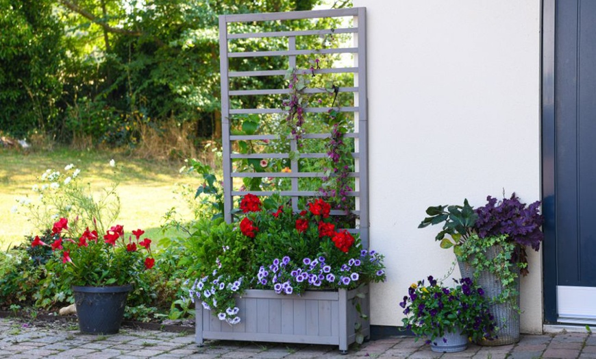 Image 2: Raised Wooden Planter with Climbing Trellis