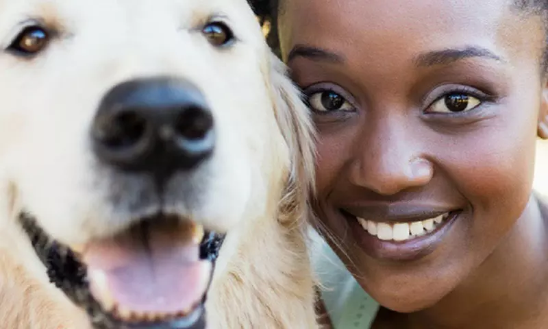 Formation dressage et garde d'animaux de compagnie (jusqu'à 87% de réduction)
