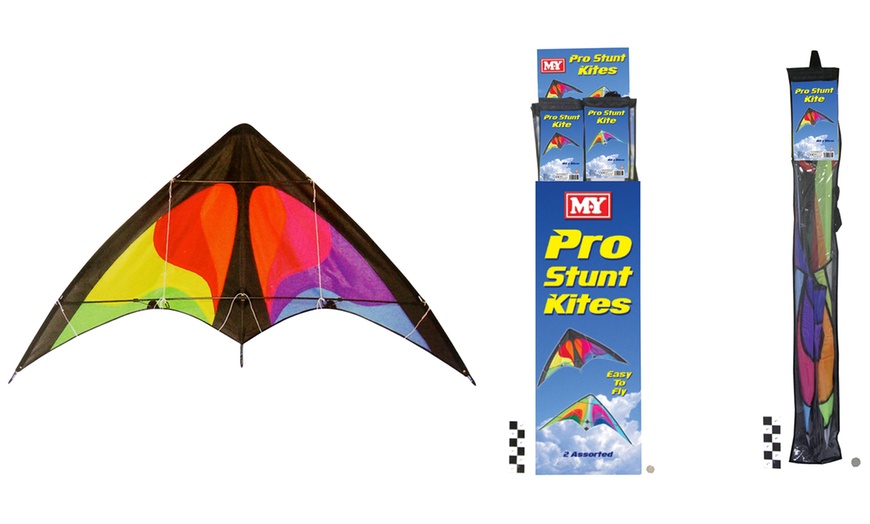 Image 1: Pro Power 2 Line Stunt Kite