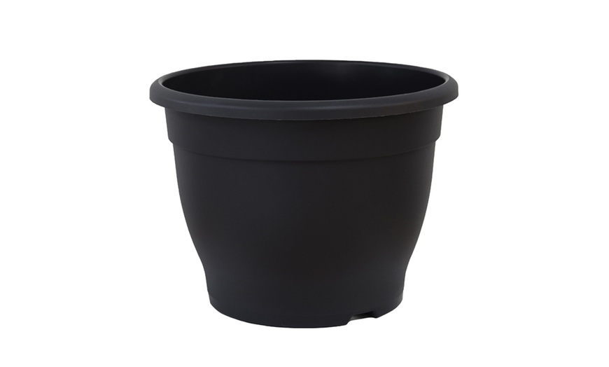 Image 10: One or Two Bay Tree Standard Pots with Optional Planters