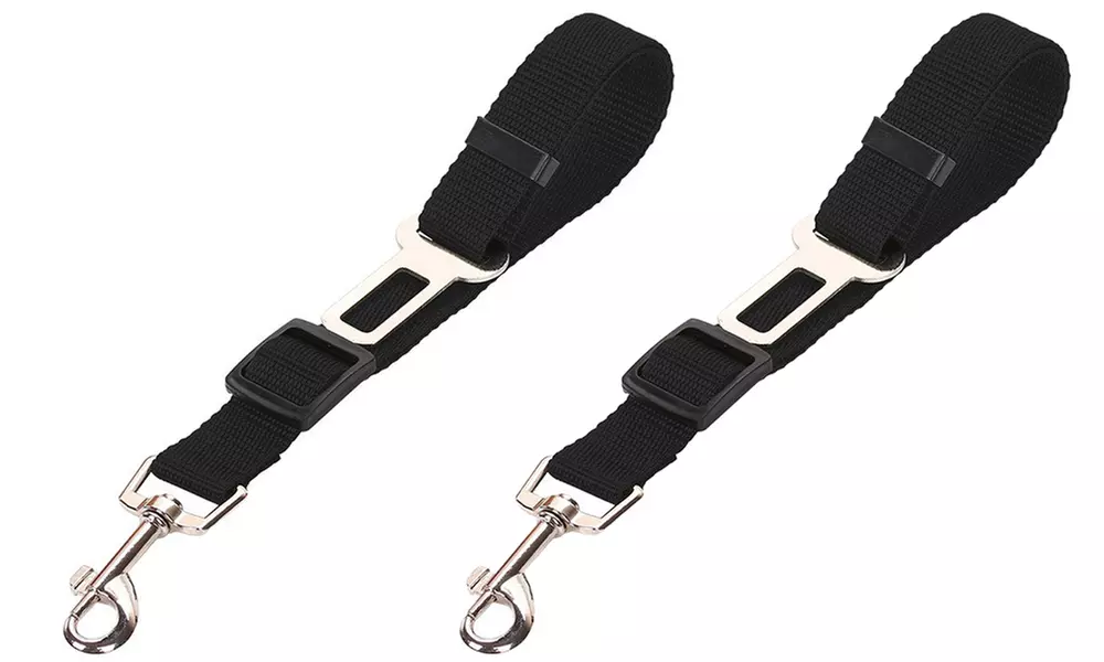 Lot de 2 ceintures de sécurité auto pour chien ou chat - Image 3
