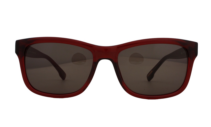 Image 6: Ted Baker Sunglasses