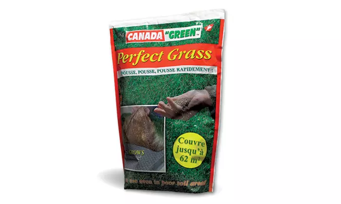 Lot de 1, 2 ou 3 sacs de gazon Perfect Grass - Image 2