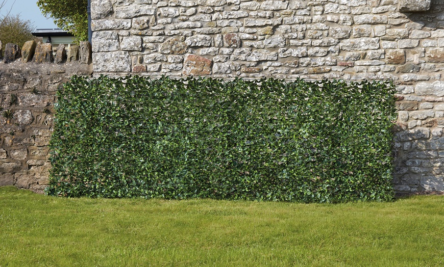 Image 8: Three or Six Meters of Rolled Ivy or Laurel Fence