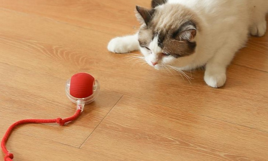 Image 1: Interactive Electric Cat Toy