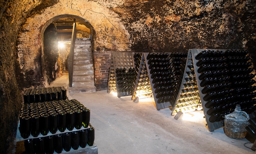 Image 3: Visita guiada y cata de vinos en Bodegas Jesús Díaz e Hijos