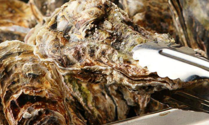 クーポン共同購入サイトのクーポンをまとめて比較 クーポンサイトjp