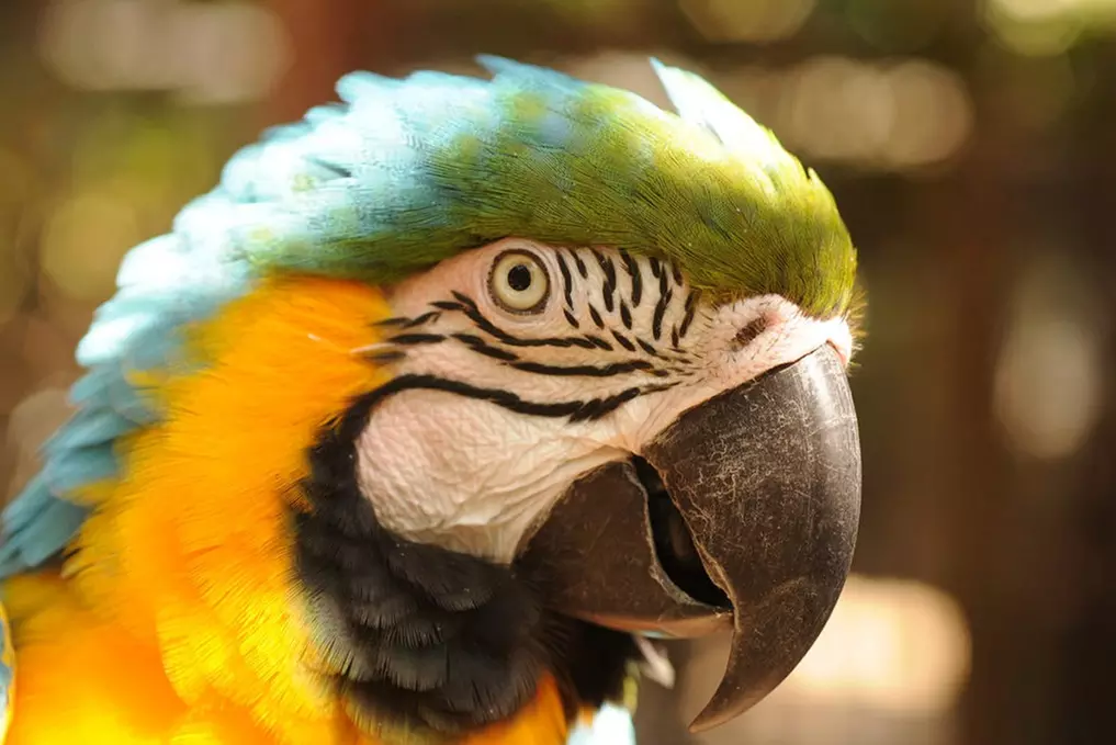 Wildlife Learning Center Admission Deals & Discounts