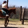 Image 3: Ride on with One or Four Horseback Riding Lessons for One or Two 
