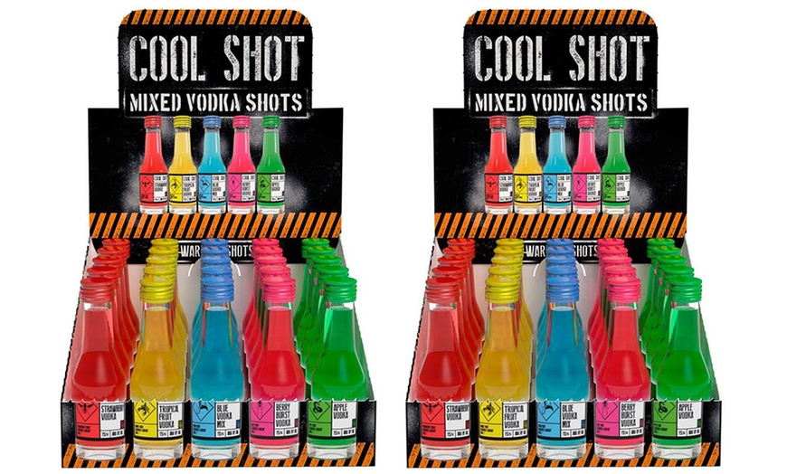 Image 2: Mixed Vodka Shots